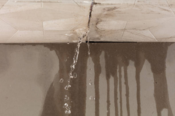 Professional Burst Pipe Cleanup technician working in Ridgewood, IL